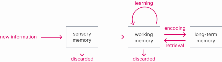 Image of how the human memory works and learns